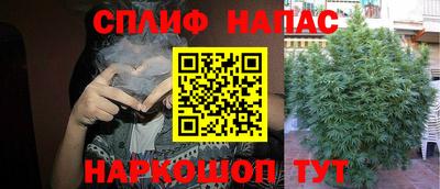 дурь Усть-Джегута
