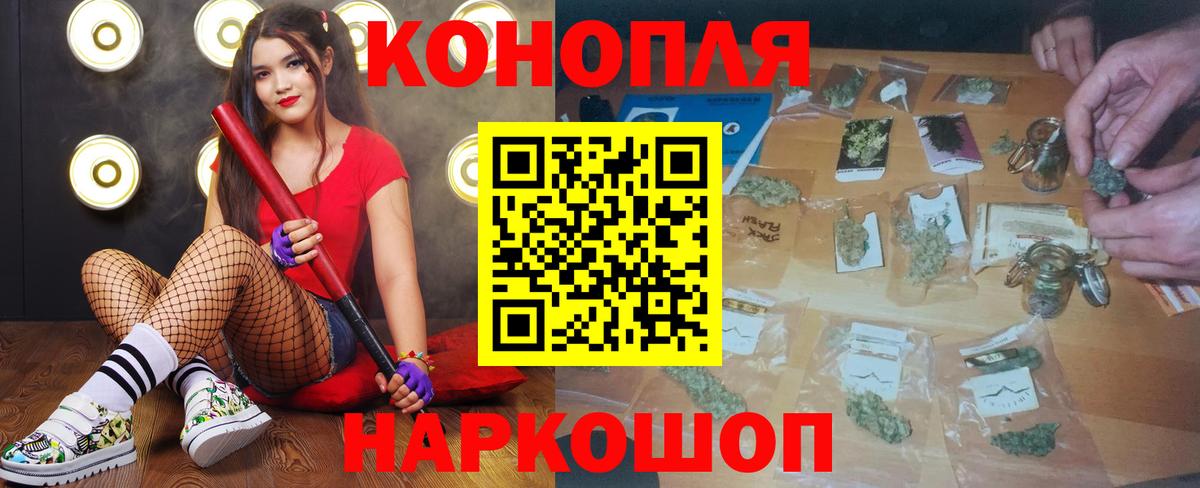 Бошки марихуана сатива Медногорск
